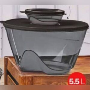 Tupperware Novel Bowl Set of 2 Black Color